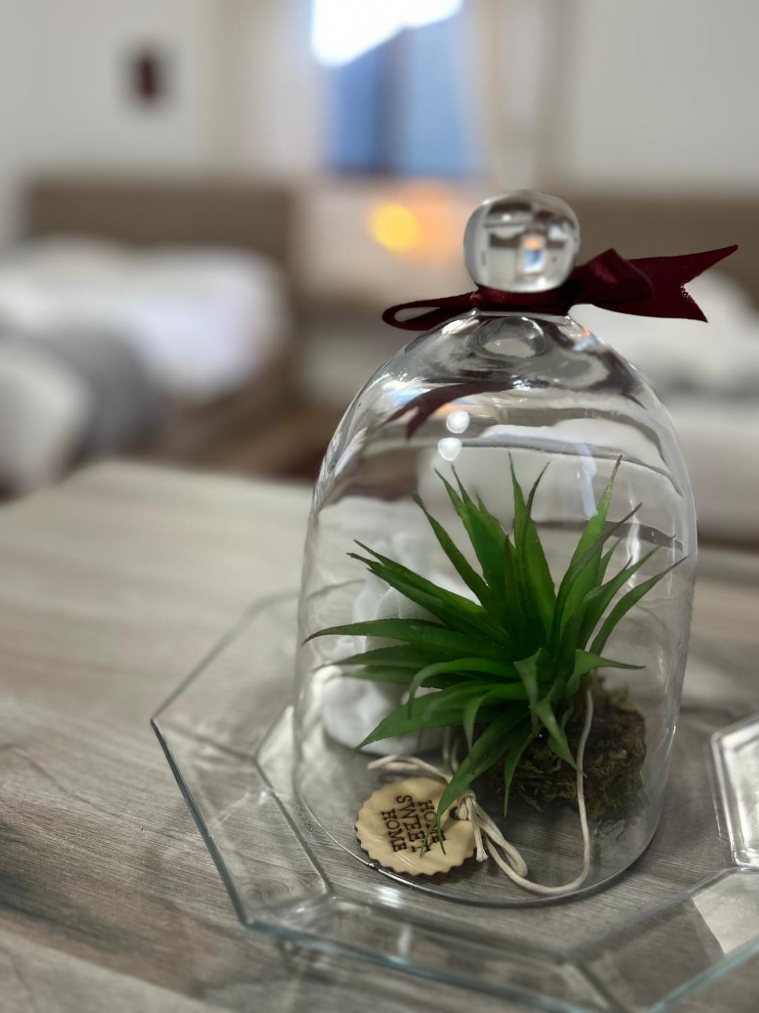 Villa Dona 培拉特 外观 照片